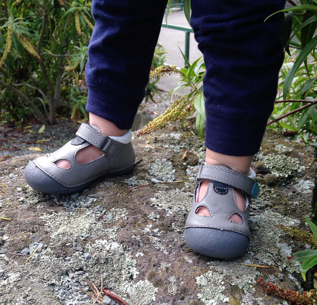 Pipsqueak Grey